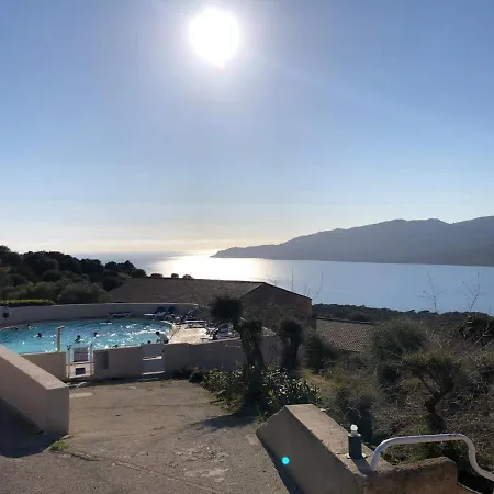 Beau T2 - Piscine Chauffee Apartment Serra-di-Ferro  Exterior photo