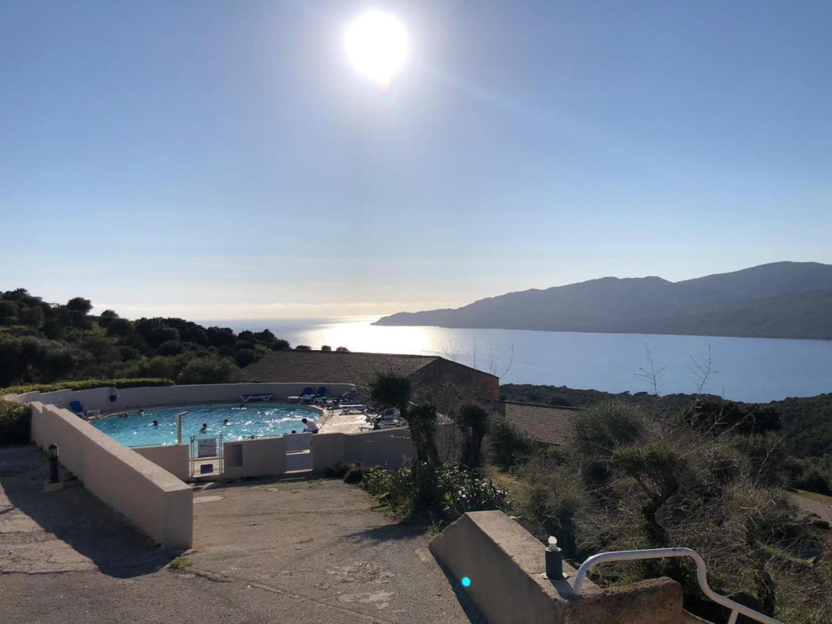 Beau T2 - Piscine Chauffee Apartment Serra-di-Ferro (Corsica)