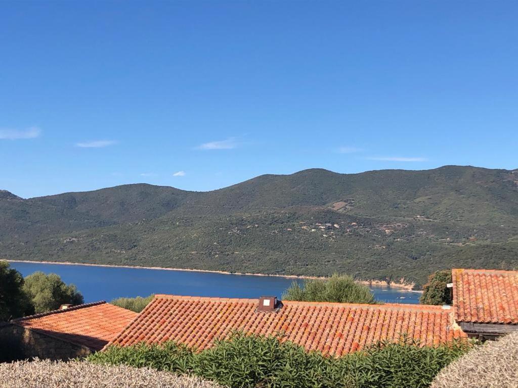 Apartment Beau T2 - Piscine Chauffee