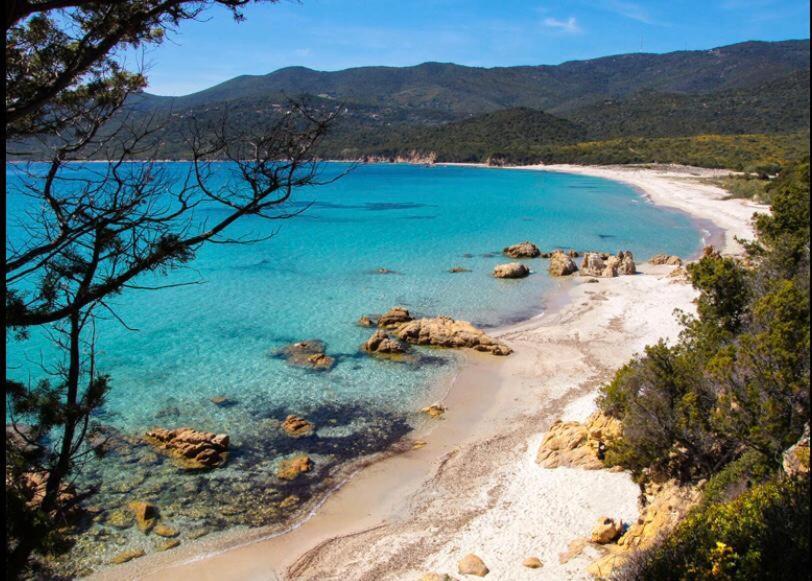 Beau T2 - Piscine Chauffee Apartment Serra-di-Ferro (Corsica)